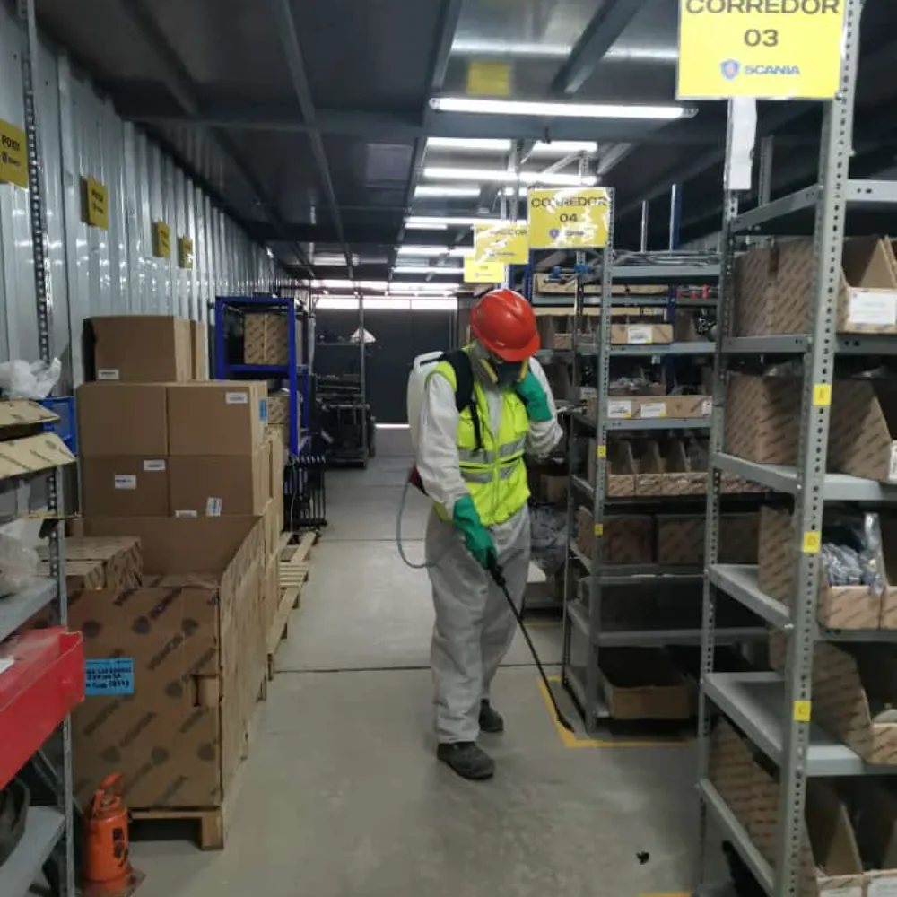 imagen de trabajos de colvers