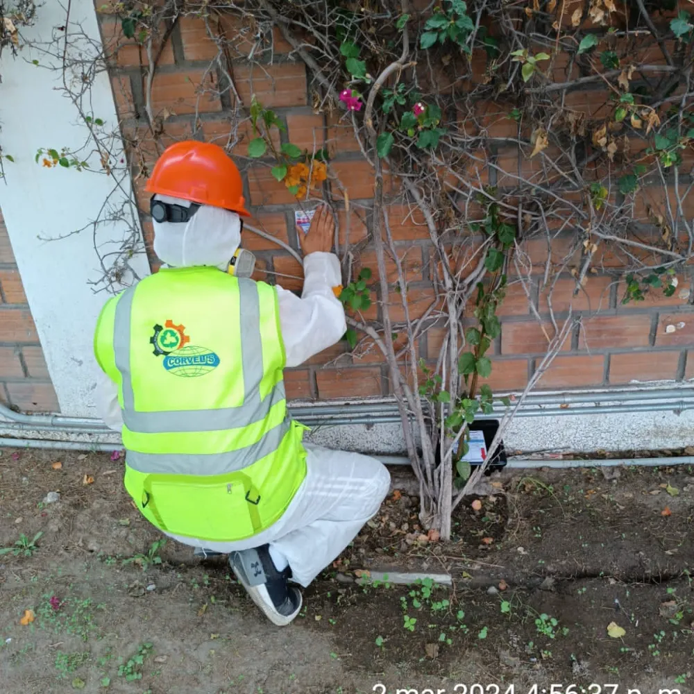 imagen de trabajos de colvers