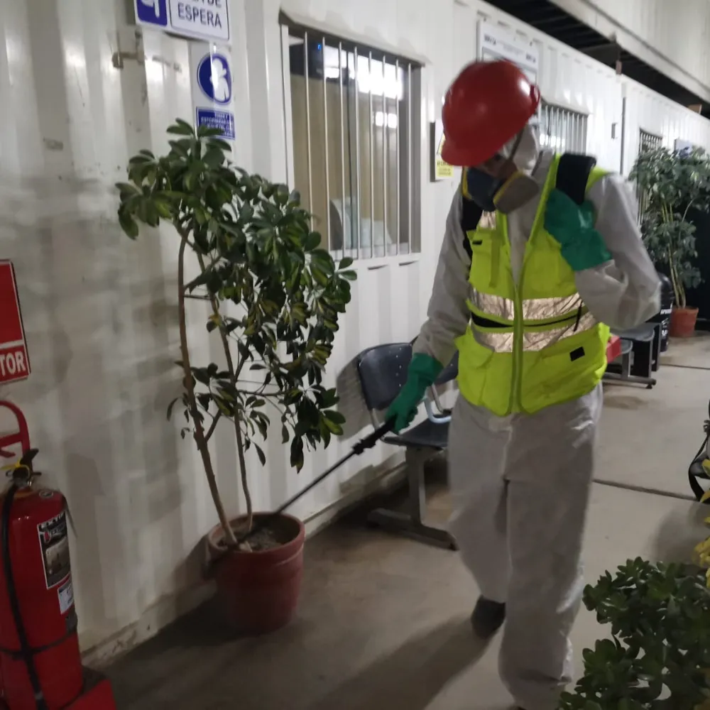imagen de trabajos de colvers